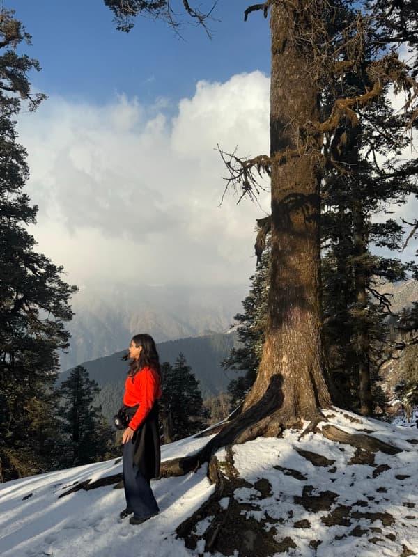 Chopta valley snow