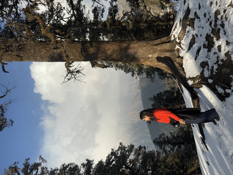 Chopta Valley