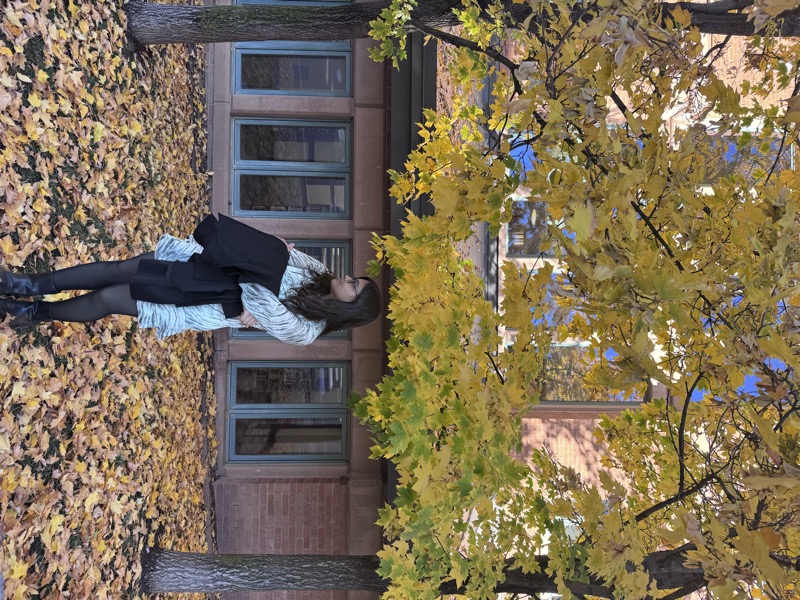 Fall In Love With Colorado